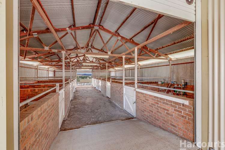 Second view of Homely acreageSemiRural listing, 284-286 River Street, Greenhill NSW 2440