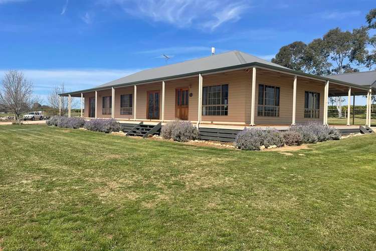 Main view of Homely ruralOther listing, 945 Seventeenth Street, Irymple VIC 3498
