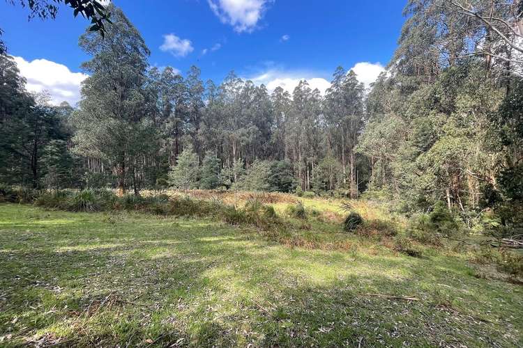 Main view of Homely ruralOther listing, 194 Smiths Road, Toolangi VIC 3777