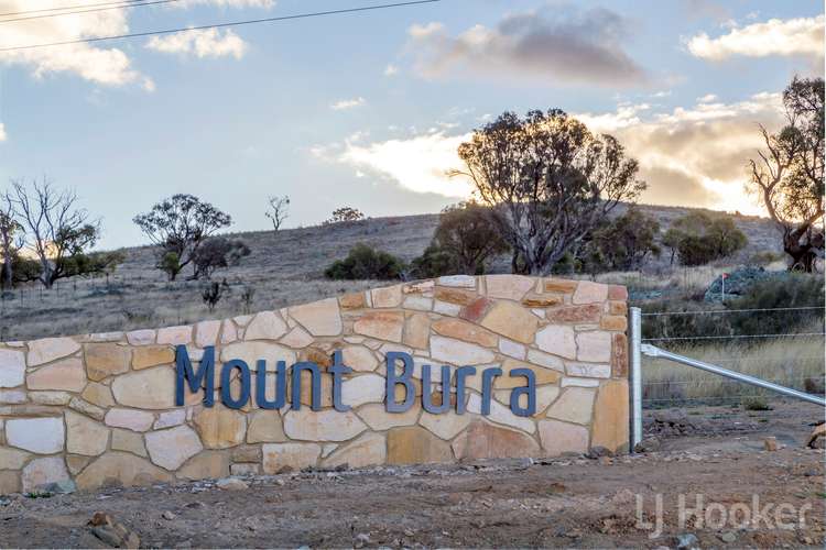 Fourth view of Homely ruralOther listing, LOT 304, 129 Captain Robertson Drive, Burra NSW 2620