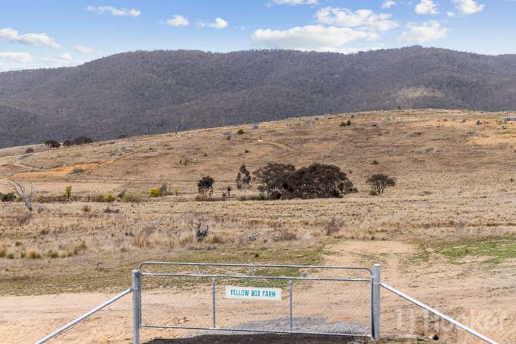 Third view of Homely ruralOther listing, LOT 309, 179 Captain Robertson Drive, Burra NSW 2620