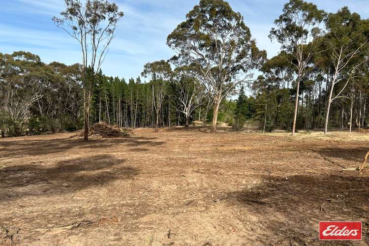 Main view of Homely residentialLand listing, Lot 9 Alexander Murray Road, Williamstown SA 5351