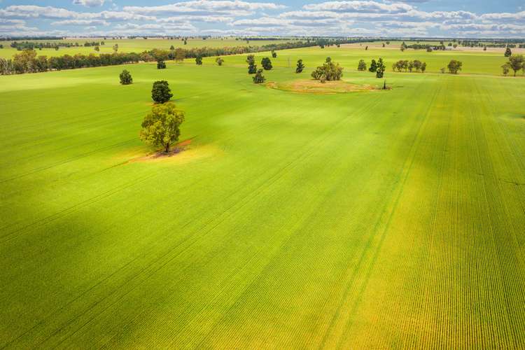Fifth view of Homely ruralOther listing, Cullivel Road, Urana NSW 2645