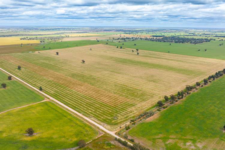 Seventh view of Homely ruralOther listing, Cullivel Road, Urana NSW 2645