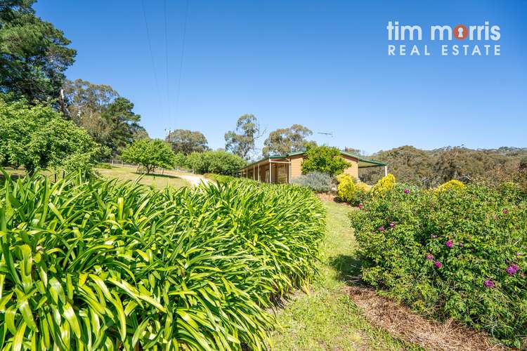 214 Peters Creek Road, Kangarilla SA 5157