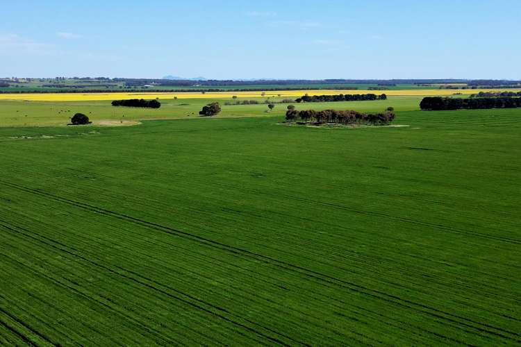 Main view of Homely cropping listing, Woorndoo-Darlington Road, Woorndoo VIC 3272