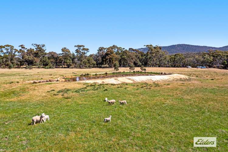 Fourth view of Homely farmlet listing, CA66 Government Road, Ararat VIC 3377