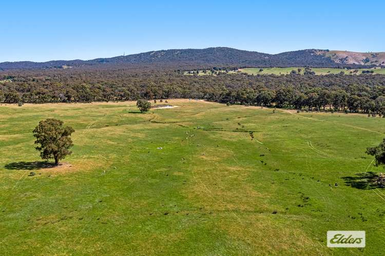 Seventh view of Homely farmlet listing, CA66 Government Road, Ararat VIC 3377