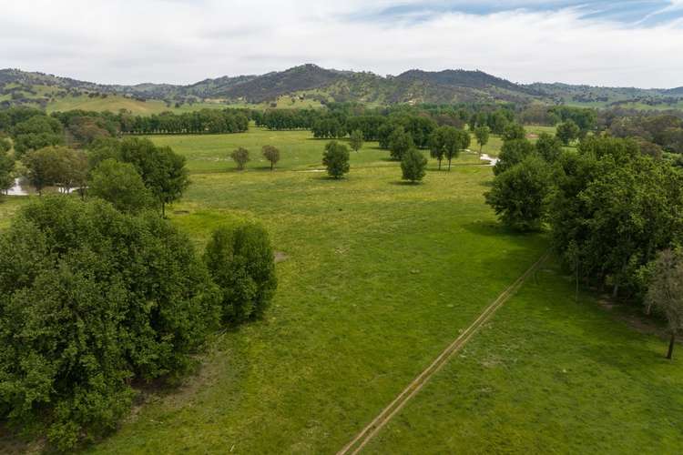 Main view of Homely livestock listing, 194 Quidong Road, Gundagai NSW 2722