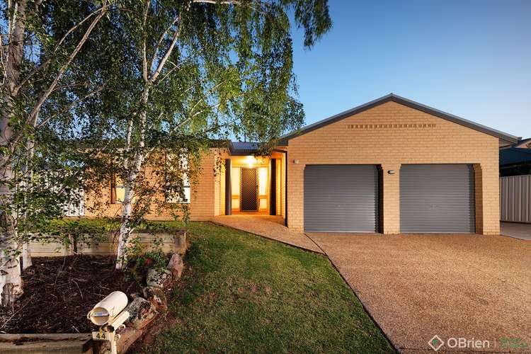 Main view of Homely house listing, 44 Memorial Drive, Wodonga VIC 3690