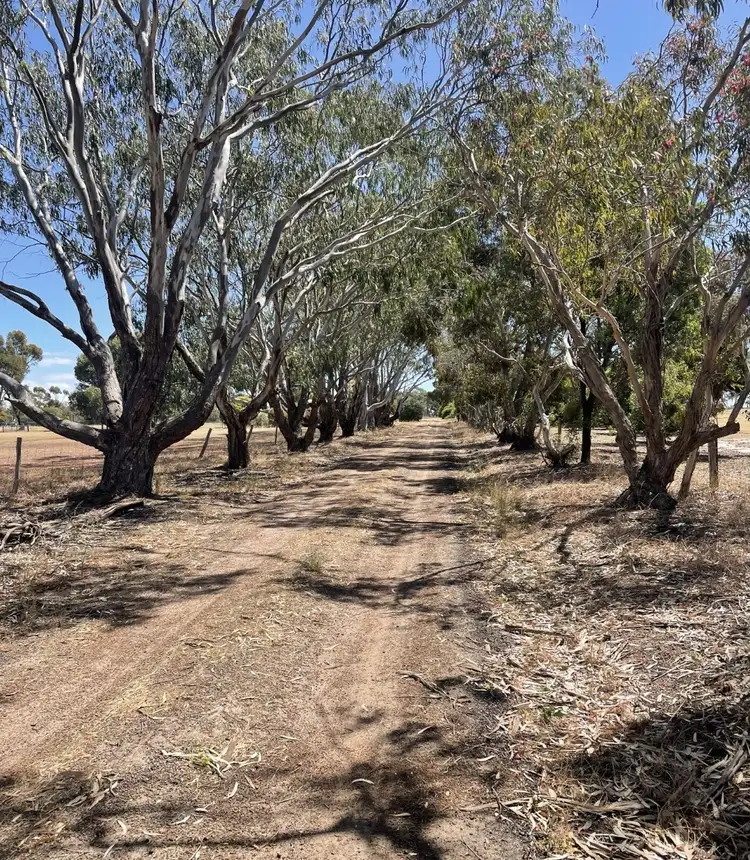 61 Katanning-Dumbleyung Road