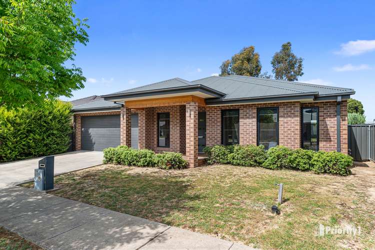 16 Perry Lane, Epsom VIC 3551