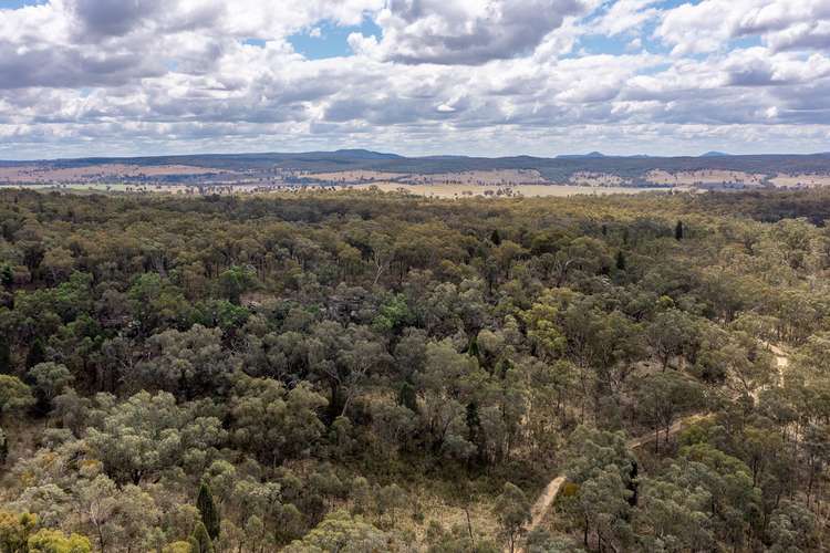 4300 Purlewaugh Road, Coolah NSW 2843