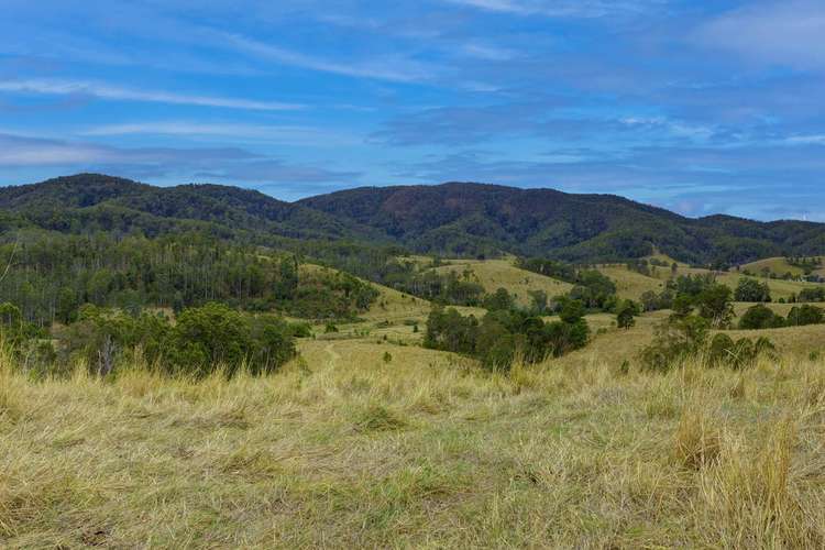 Kings Creek Road, Krambach NSW 2429