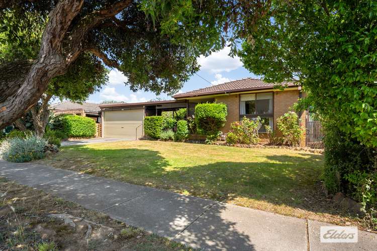 Main view of Homely house listing, 349 Lawrence Street, Wodonga VIC 3690