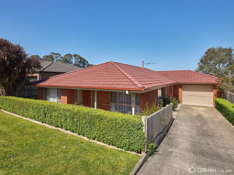 11 Hatfield Drive