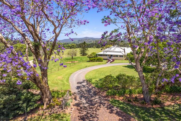Main view of Homely acreageSemiRural listing, 102 North Bank Road, Bellingen NSW 2454