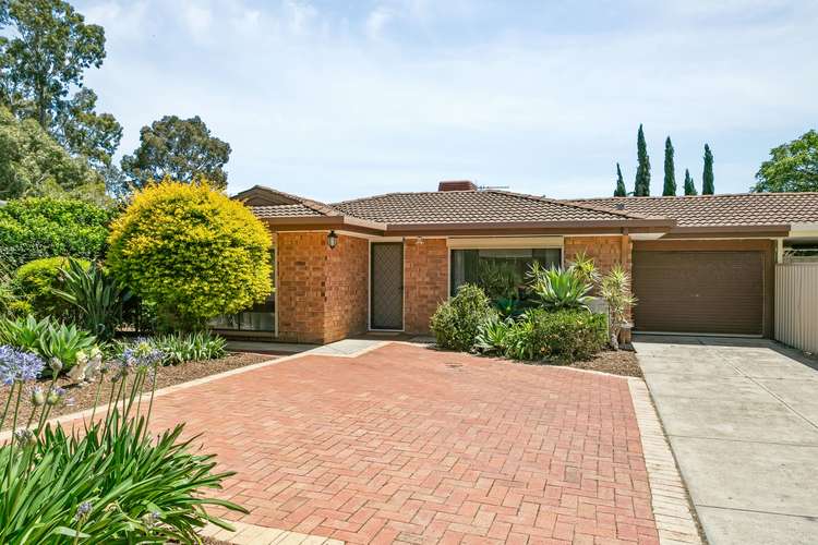 Main view of Homely house listing, 45 Byron Avenue, Clovelly Park SA 5042