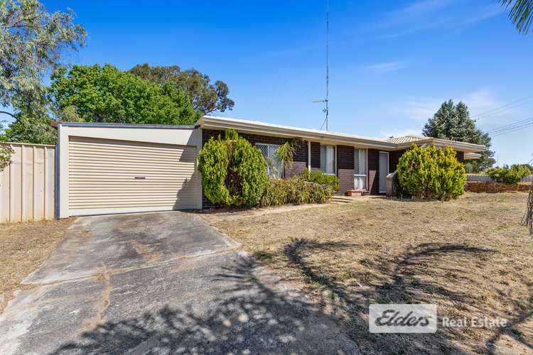 Main view of Homely house listing, 19 Jacaranda Crescent, Withers WA 6230