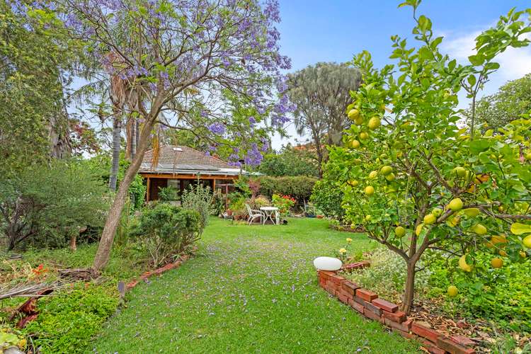 18 Toowong Avenue, Kensington Park SA 5068