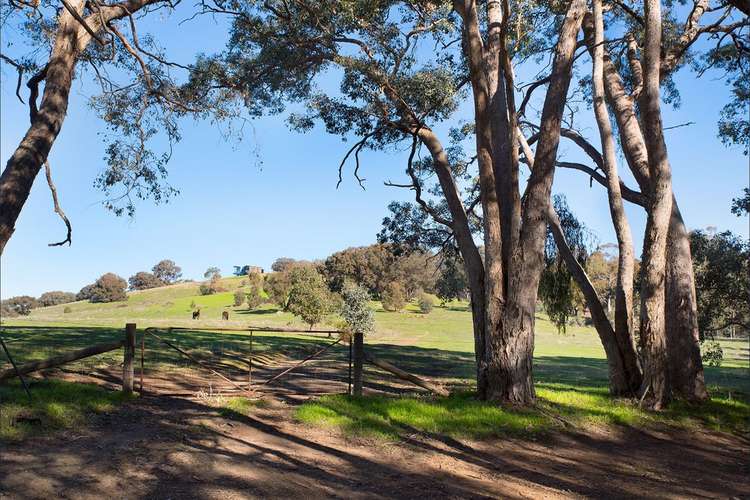 Main view of Homely residentialLand listing, 119 Lemon Tree Lane, Sedgwick VIC 3551