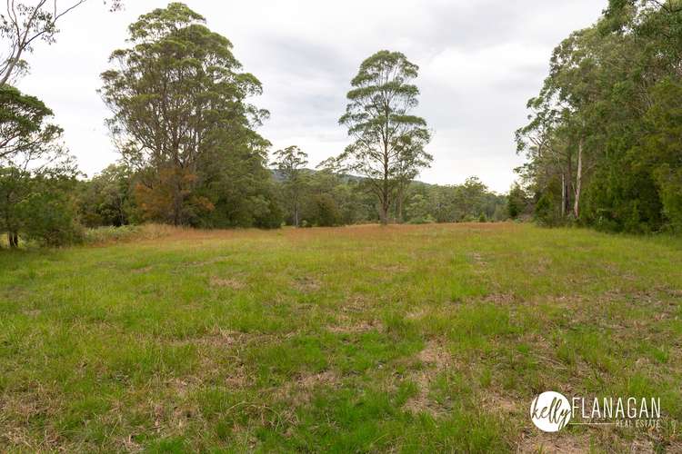 Seventh view of Homely ruralOther listing, Lot 1b Beranghi Road, Crescent Head NSW 2440