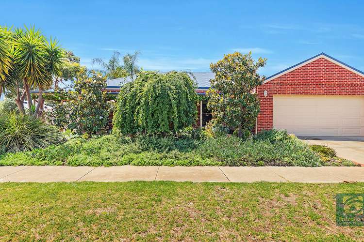 Main view of Homely house listing, 46 Shackell Street, Echuca VIC 3564