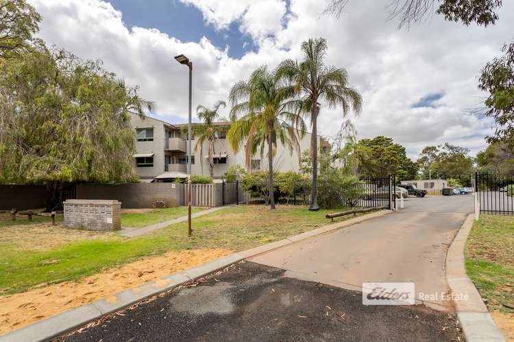 Main view of Homely apartment listing, 29/1 Stallard Place, Withers WA 6230