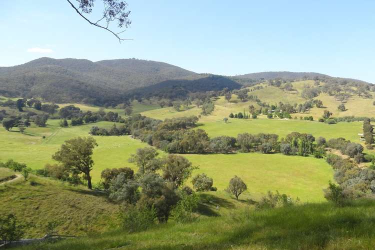 Main view of Homely mixedFarming listing, 175 Tinmines Road, Mullengandra NSW 2644