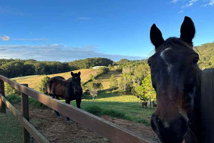 Main view of Homely house listing, 289 Hunchy Road, Hunchy QLD 4555