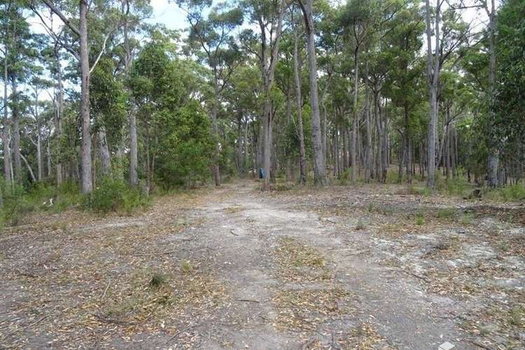 Third view of Homely acreageSemiRural listing, 75 Boggy Creek Road, Millingandi NSW 2549