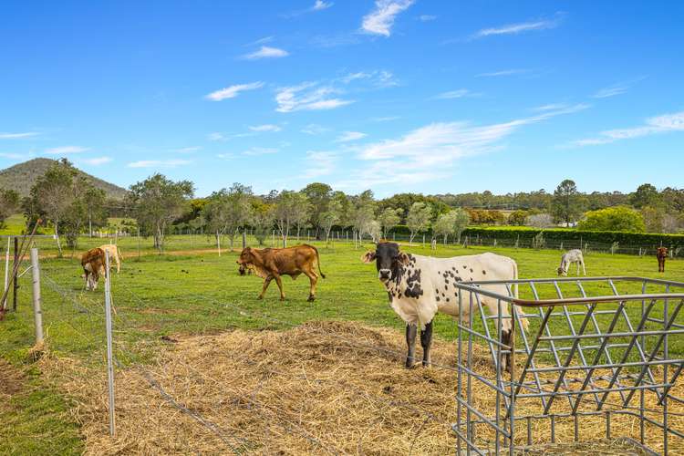 Main view of Homely acreageSemiRural listing, 437 Newlands Road, Wamuran QLD 4512