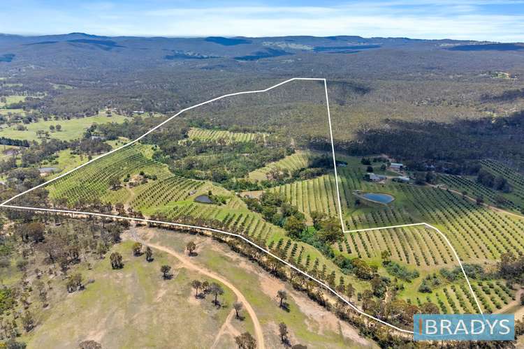Main view of Homely residentialLand listing, LOT 1, 569 Marked Tree Road, Gundaroo NSW 2620