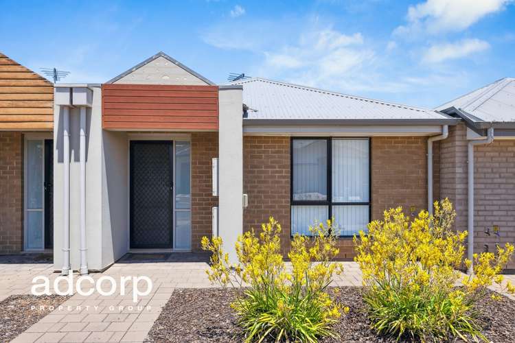 19 Cypress Drive, Parafield Gardens SA 5107