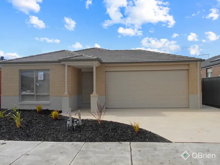 47 Artfield Street