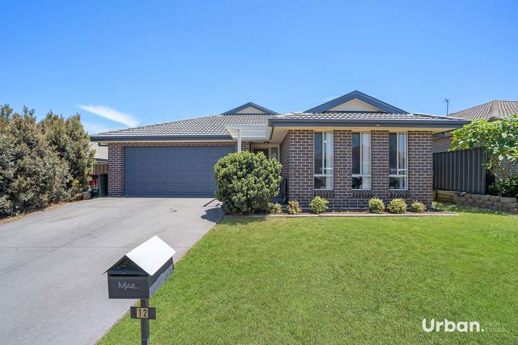 12 Kelman Drive, Cliftleigh NSW 2321