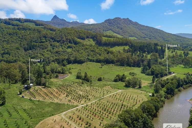 Main view of Homely acreageSemiRural listing, 677 Tyalgum Road, Eungella NSW 2484