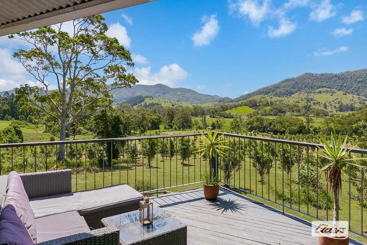 Second view of Homely acreageSemiRural listing, 677 Tyalgum Road, Eungella NSW 2484