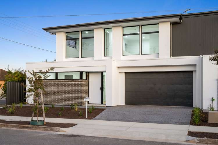 Main view of Homely house listing, 36 Acacia Street, Plympton Park SA 5038