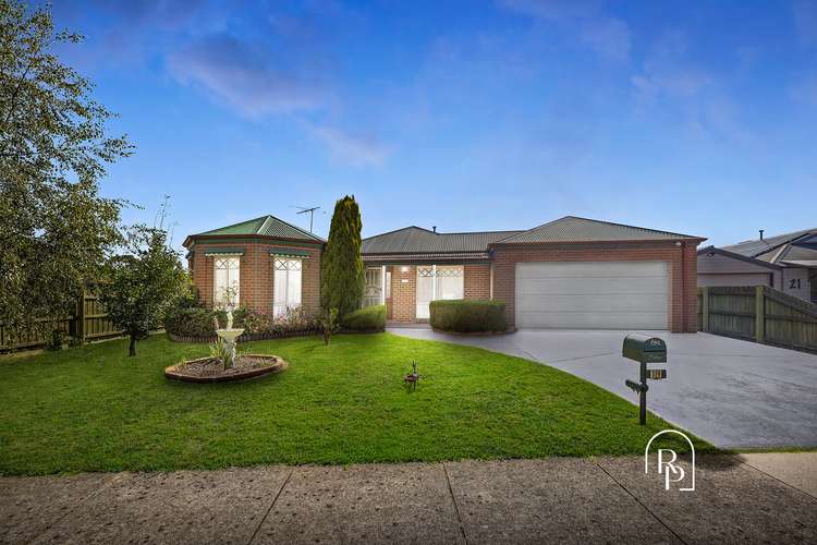 Main view of Homely house listing, 19 Warranqite Crescent, Hastings VIC 3915