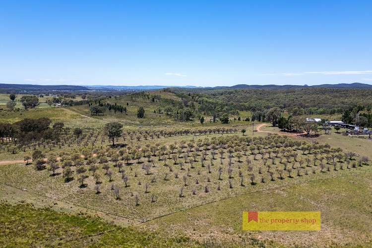 Main view of Homely lifestyle listing, 1732 Spring Ridge Road, Gulgong NSW 2852