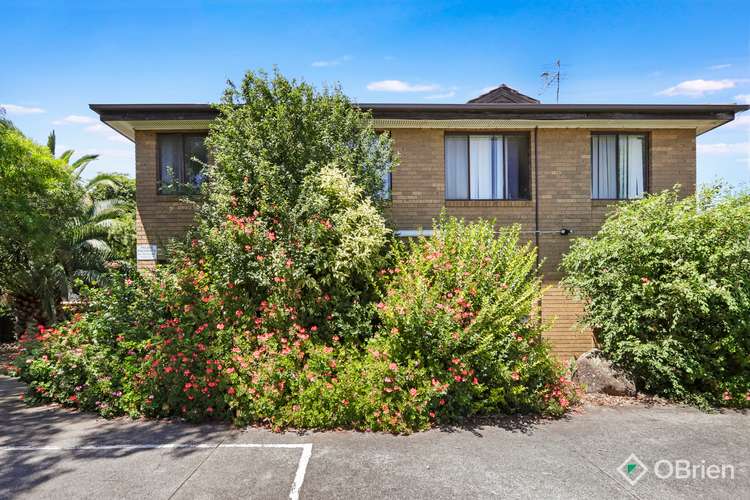 Main view of Homely unit listing, 13/31 Ridley Street, Albion VIC 3020