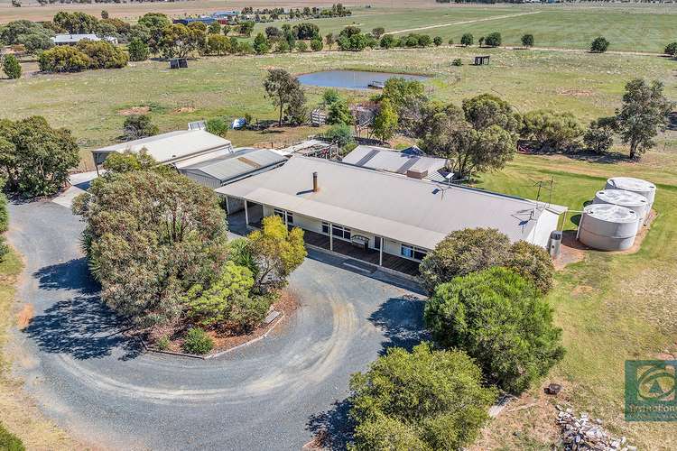 Main view of Homely house listing, 1222 Mount Terrick Road, Echuca VIC 3564
