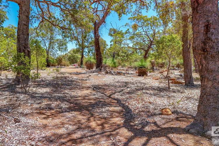 Main view of Homely residentialLand listing, 164 Darwinia Crescent, Coondle WA 6566