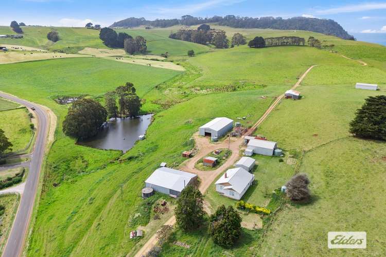 Main view of Homely mixedFarming listing, 94 Table Cape Road, Wynyard TAS 7325