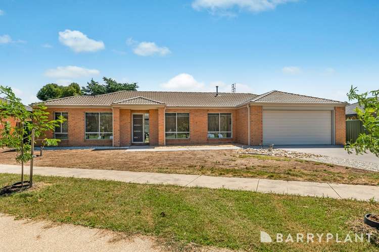 13 Creekview Place, Ascot VIC 3551