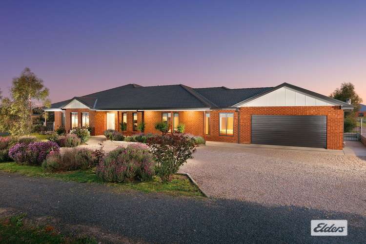 Main view of Homely house listing, 20 Campbell Street, Rutherglen VIC 3685