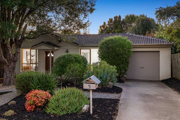 Main view of Homely house listing, 5 Ladner Court, Chadstone VIC 3148