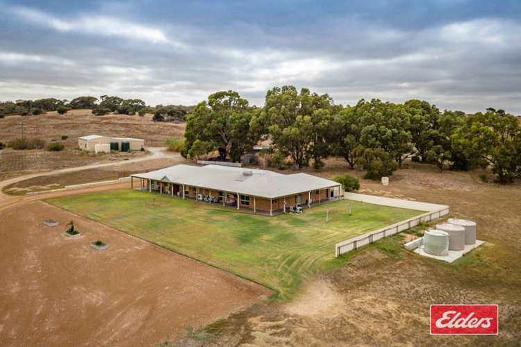 Main view of Homely house listing, 62 Wimpole Road, Bonniefield WA 6525