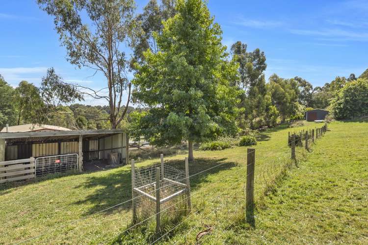 Main view of Homely house listing, 24 McDougal Road, Neerim South VIC 3831